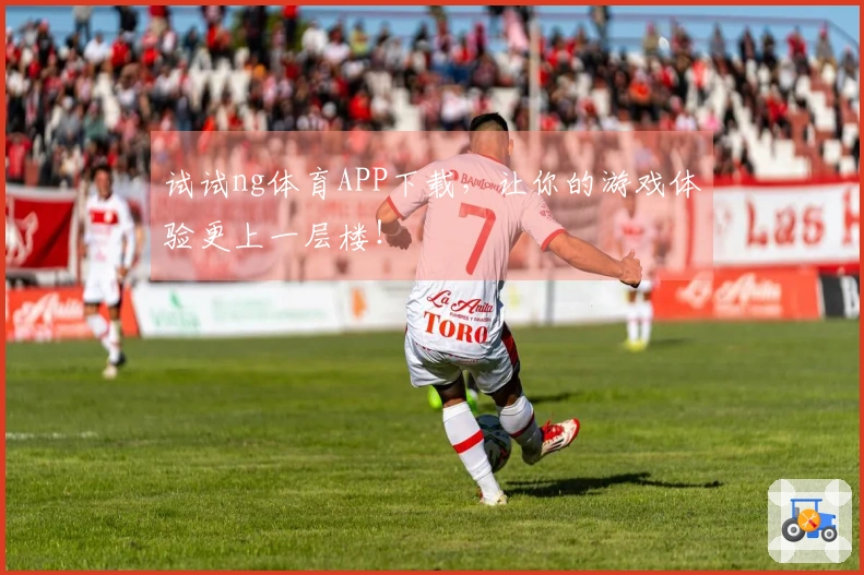 试试ng体育APP下载，让你的游戏体验更上一层楼！