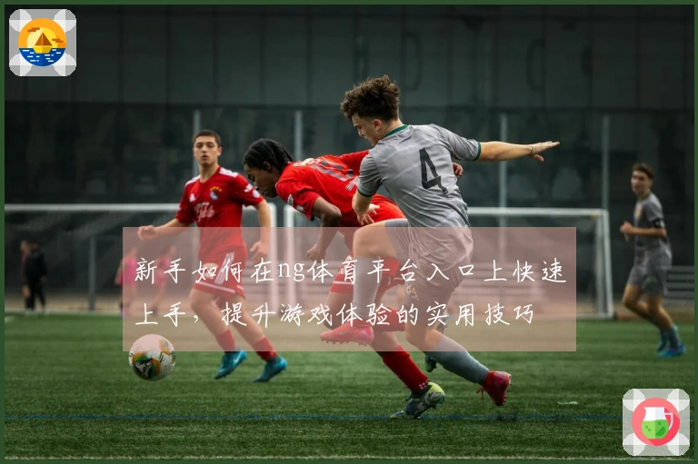 新手如何在ng体育平台入口上快速上手，提升游戏体验的实用技巧